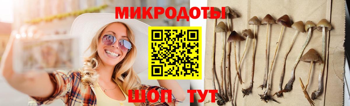 Южноуральск  Галлюциногенные грибы ЛСД  Вход с VPN 